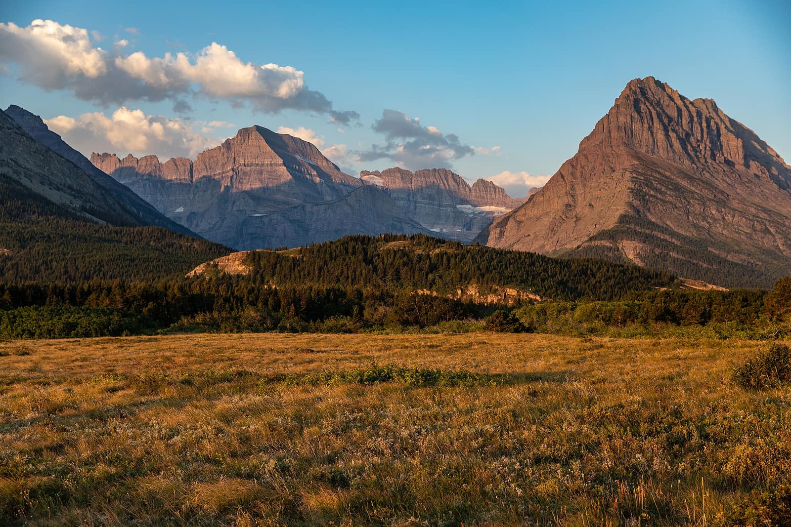 Early morning light on the Many Glacier Valley in Glacier National Park, with golden meadows, pine forest, and rocky peaks