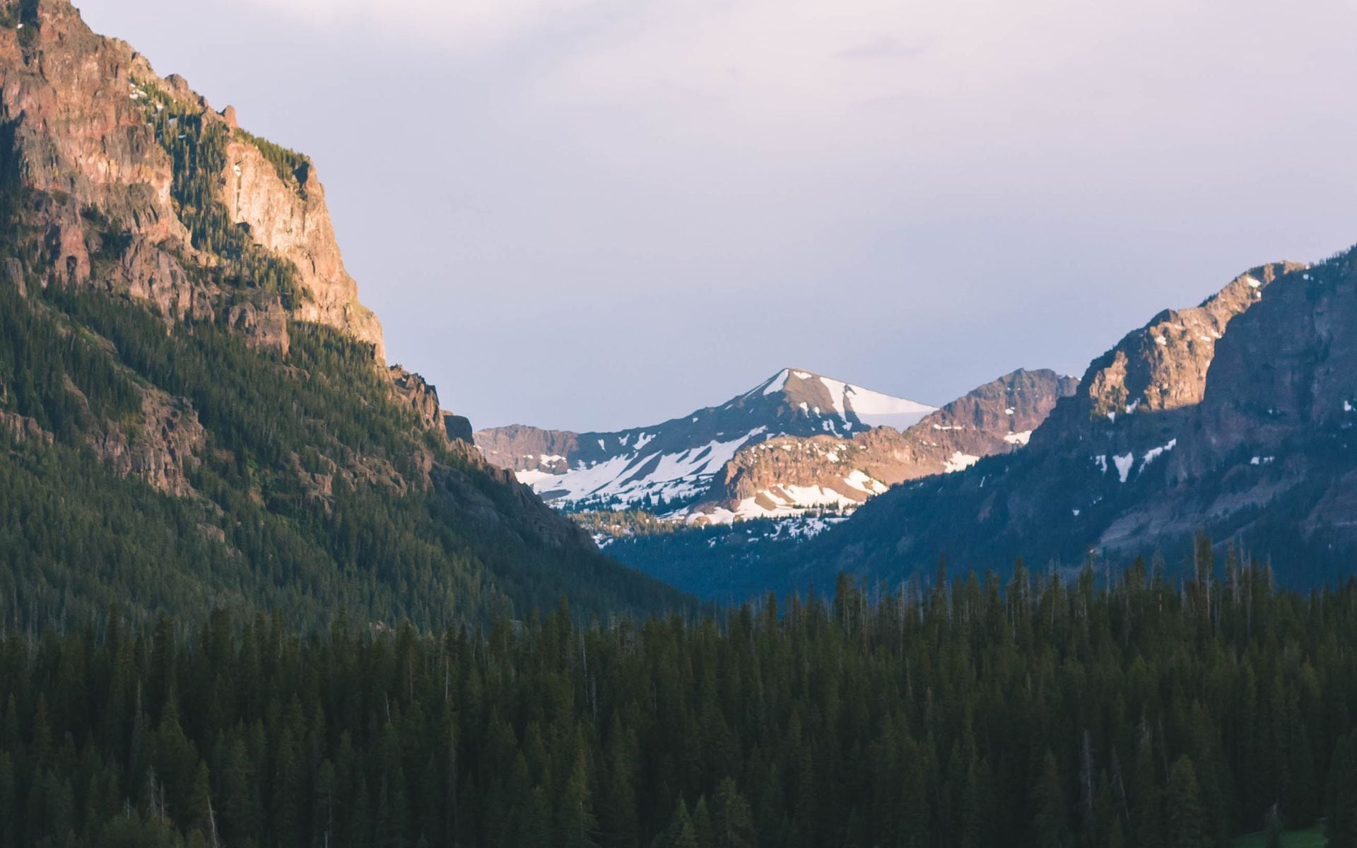 Family hiking along the Trail of the Cedars in Glacier National Park, Montana, with towering old-growth cedar trees overhead