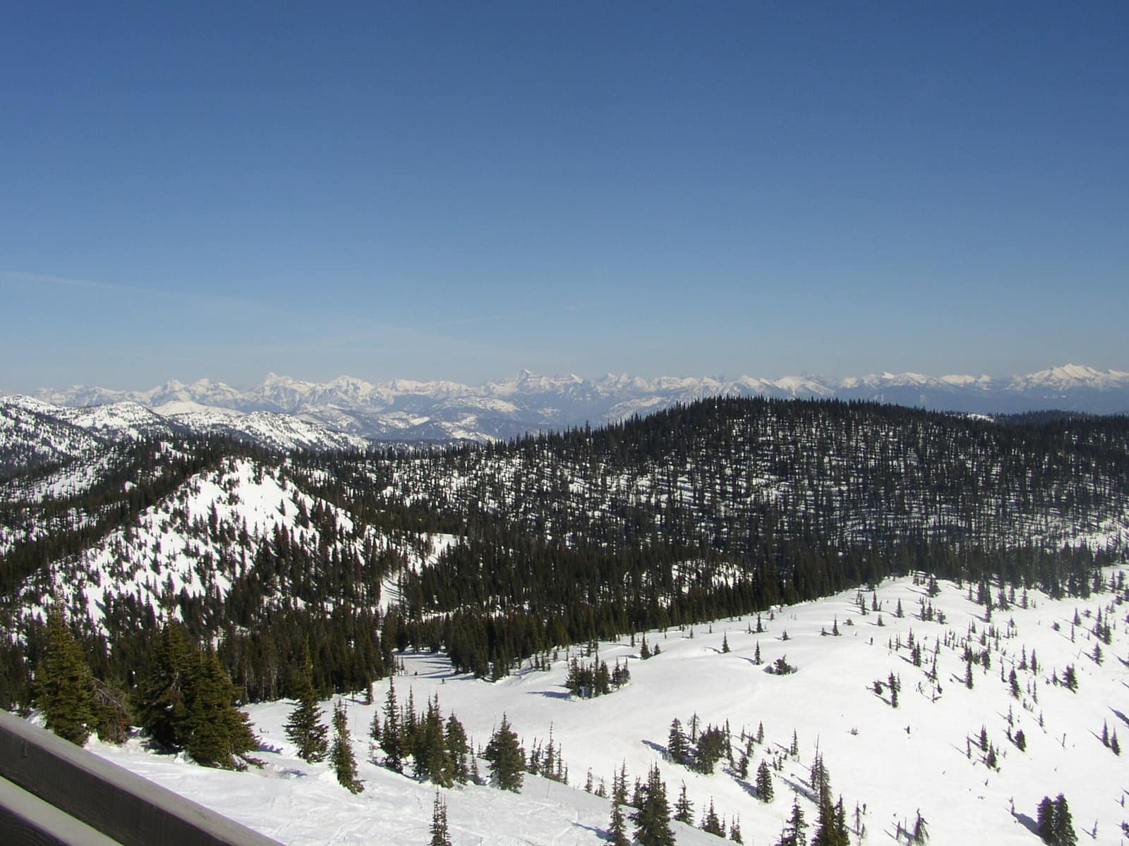 View from the summit of Whitefish Mountain Resort, Montana, looking north toward the peaks of Glacier National Park