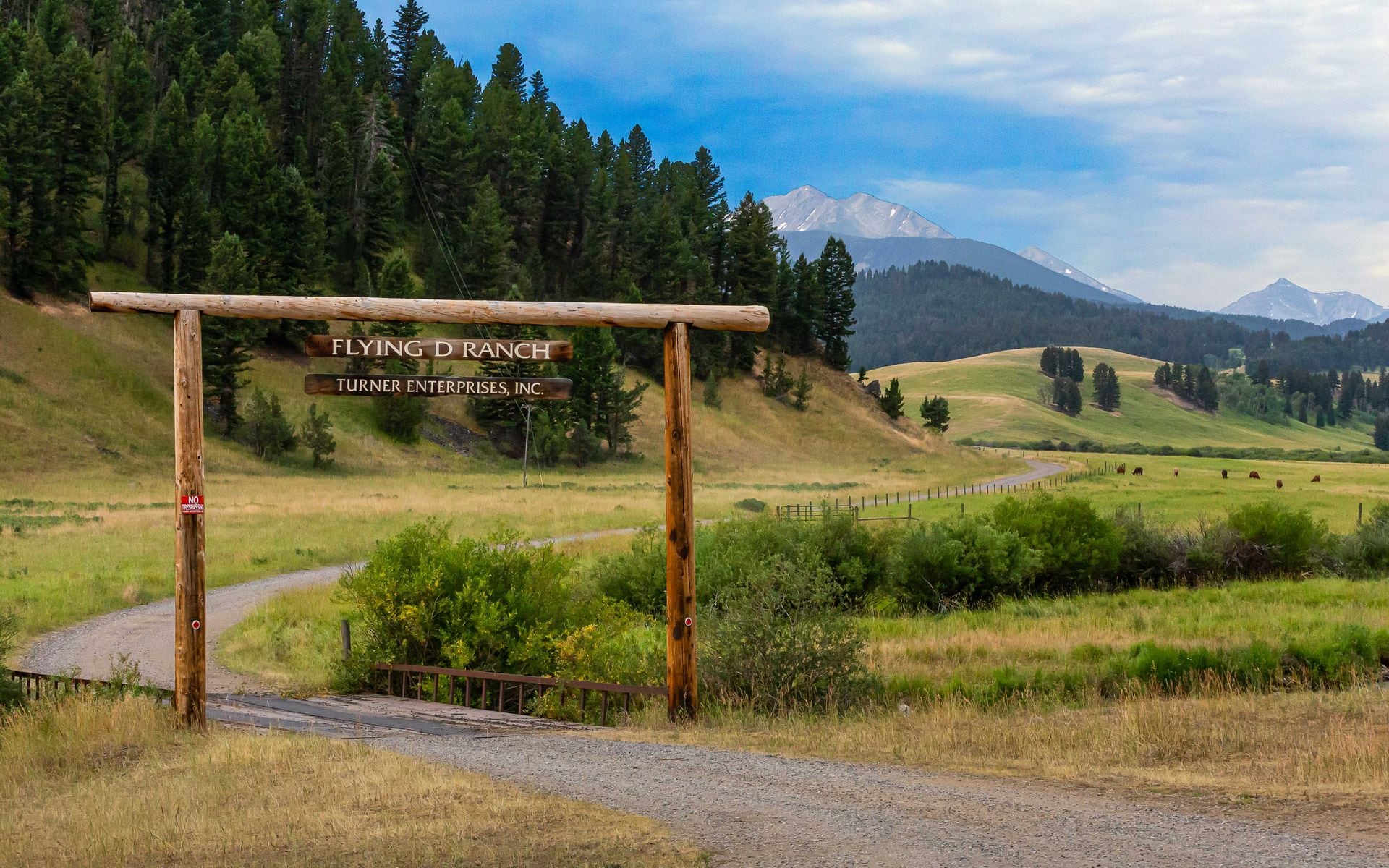 Cattle and ranchland beneath the mountains on a Montana ranch