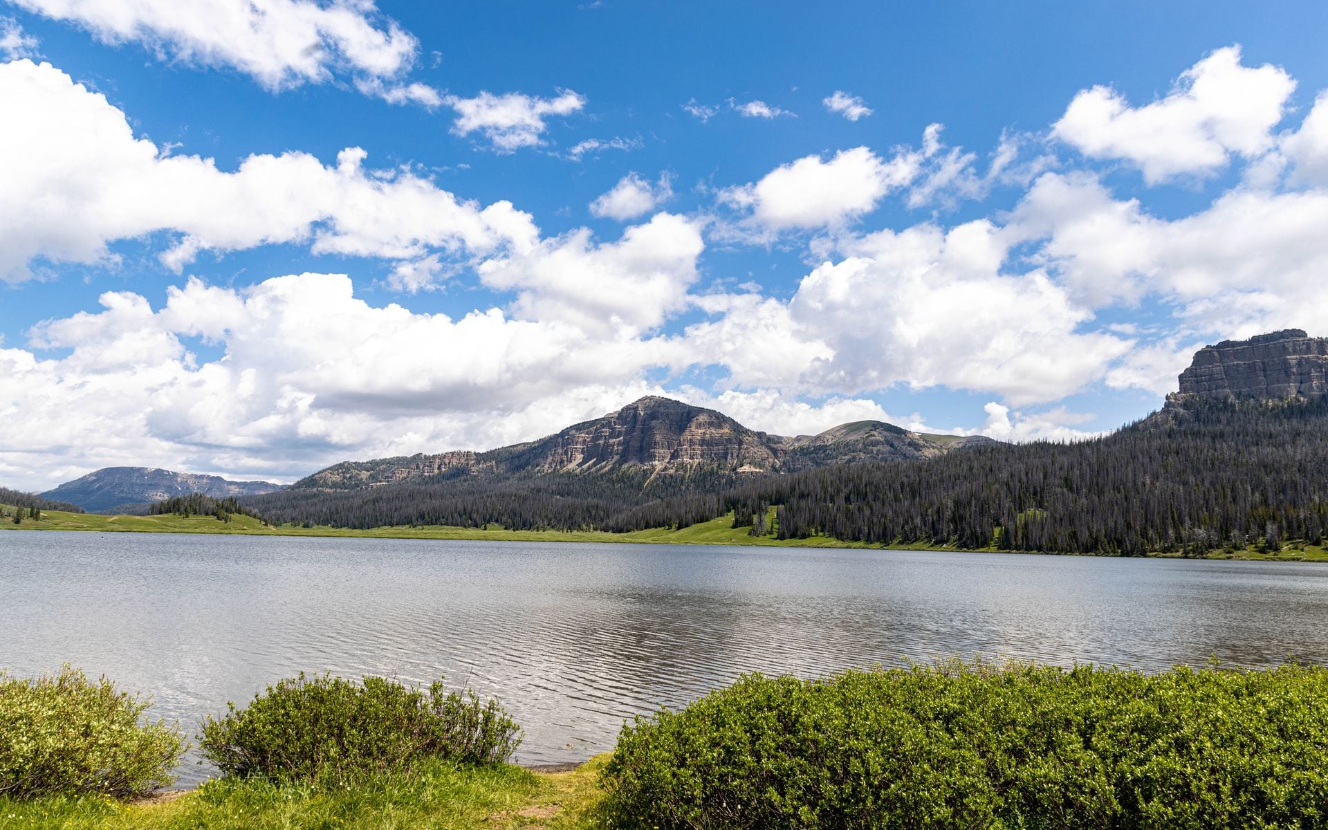 7 Days in Montana