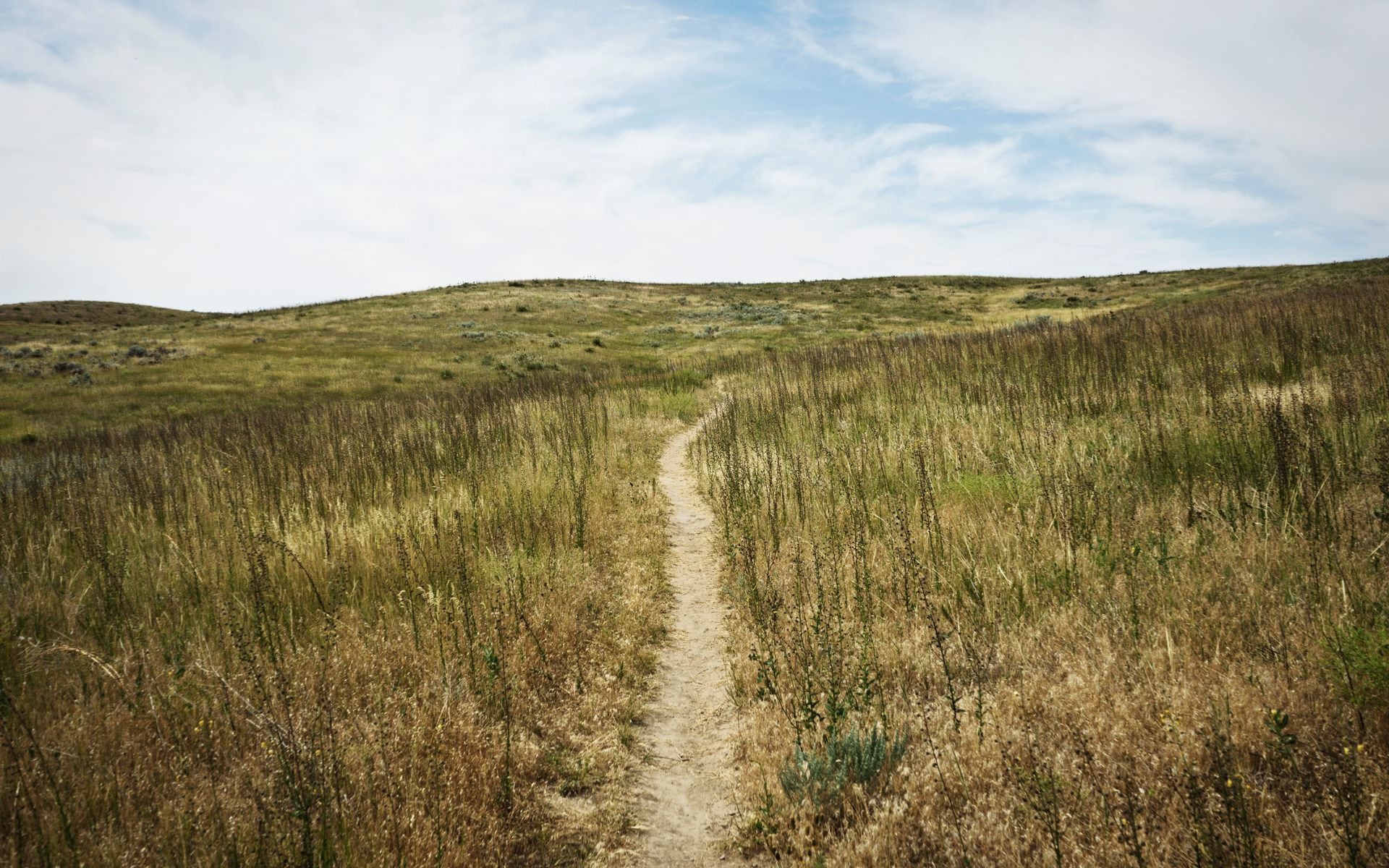 Billings in Montana