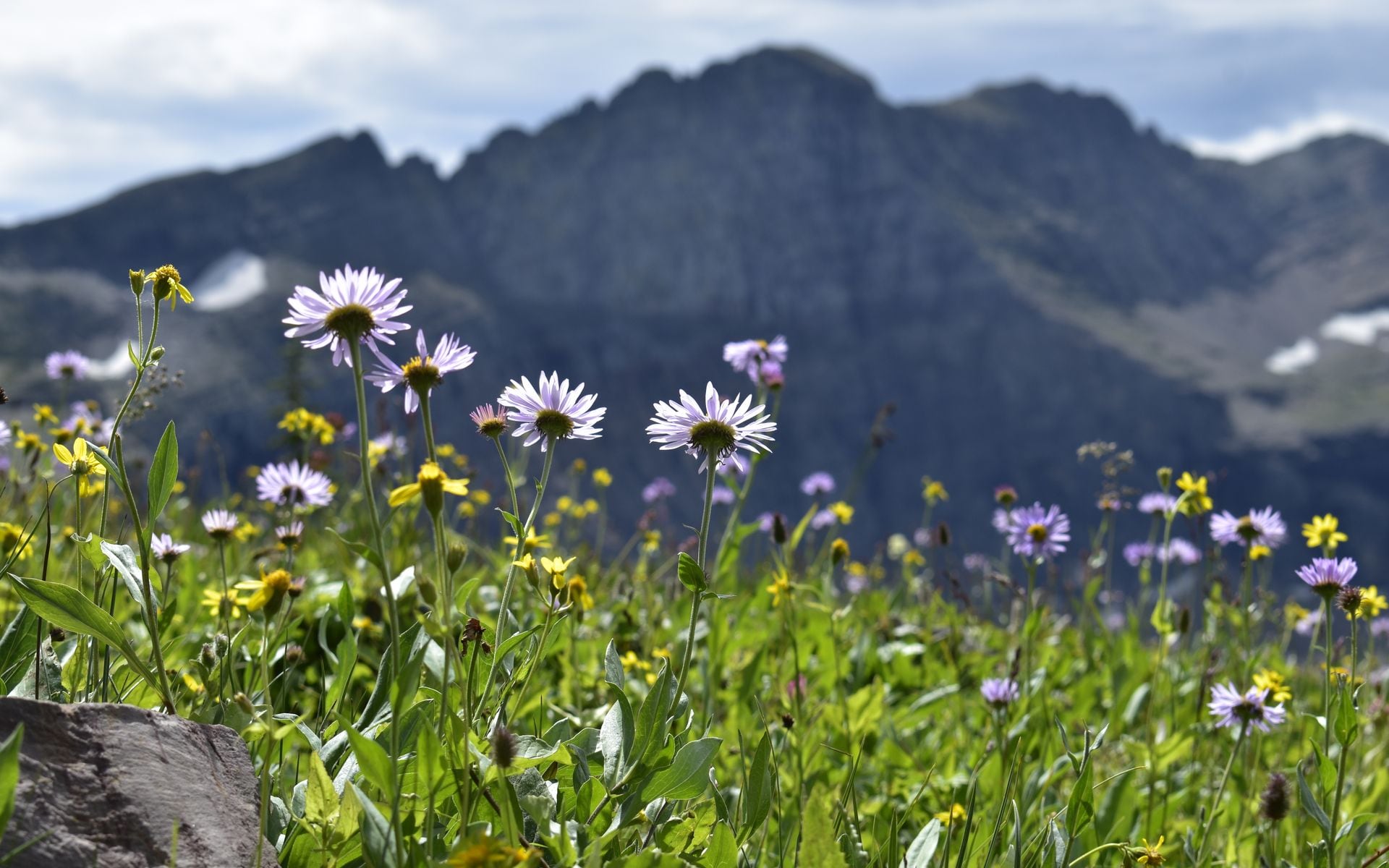 Best Time to Visit Montana