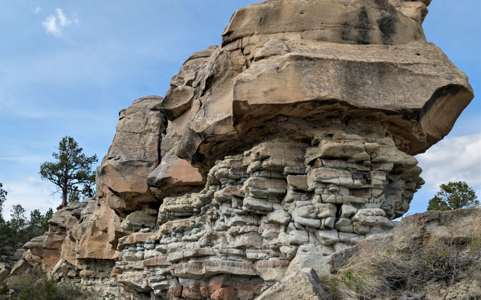 White cliffs along the Wild and Scenic Missouri River in northern Montana