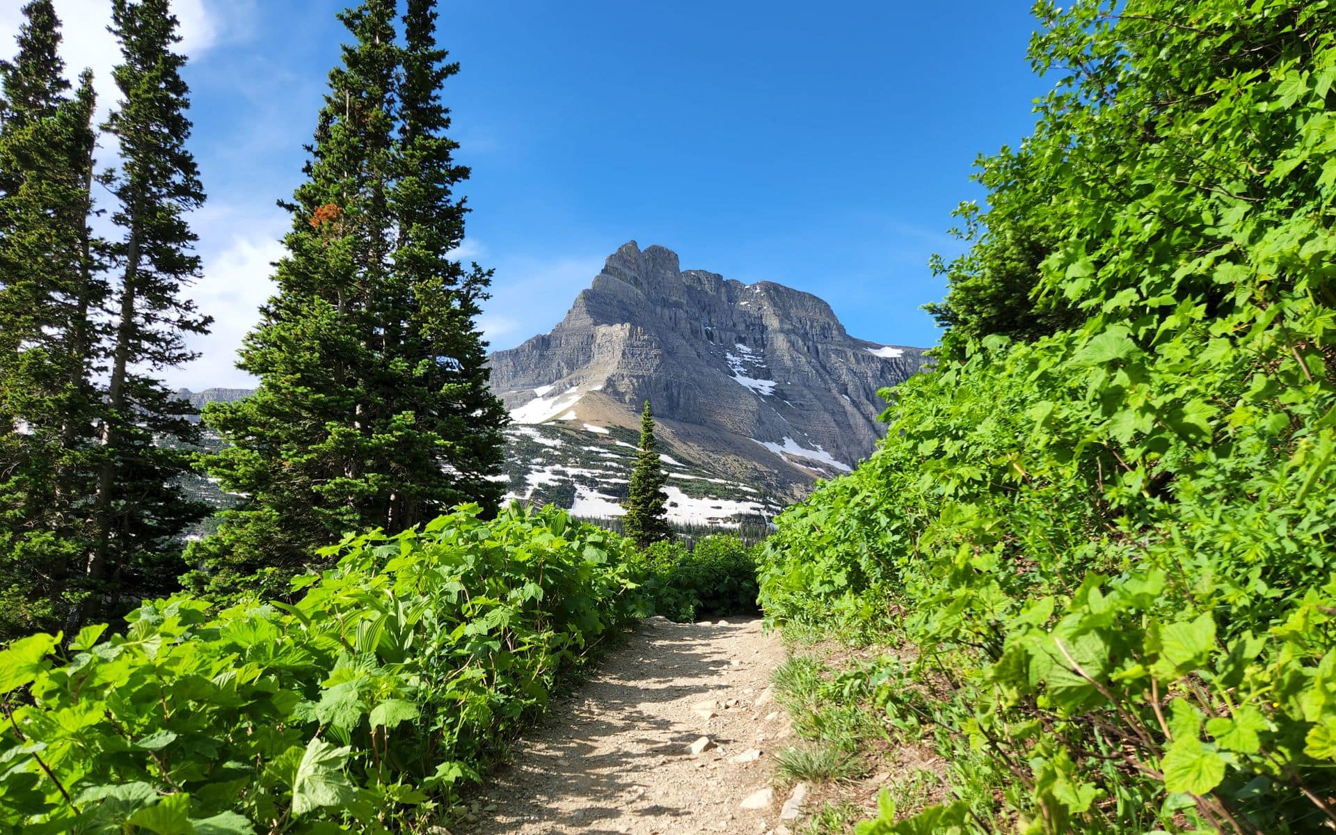 Hiking and Backpacking in Montana
