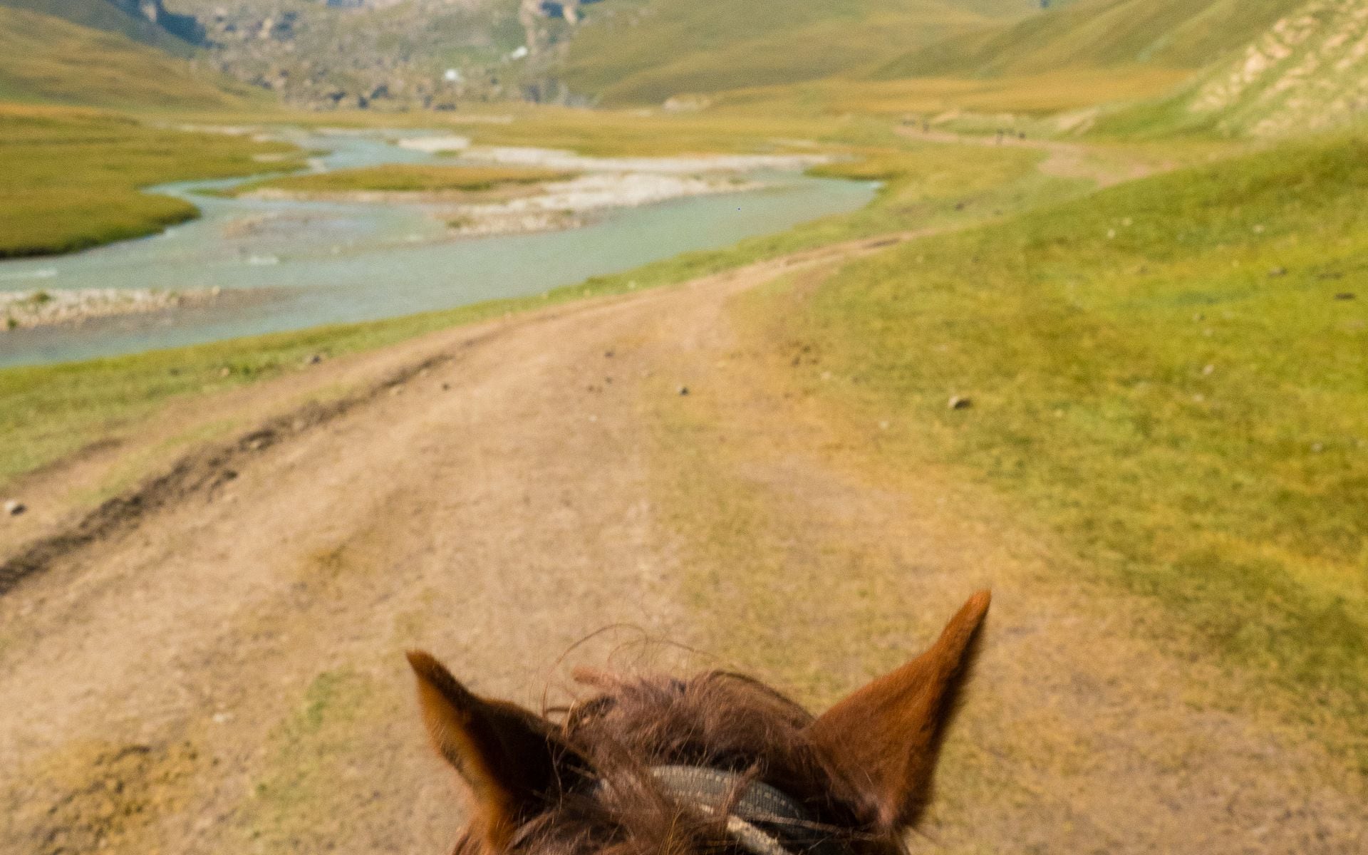Horseback Riding and Dude Ranches in Montana